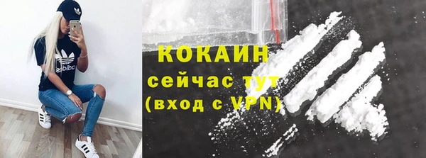 мяу мяу кристалл Арсеньев