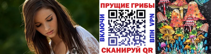 наркота  Петухово  мега вход  Псилоцибиновые грибы GOLDEN TEACHER 
