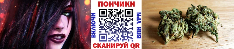купить наркотики цена  Петухово  Конопля VHQ 
